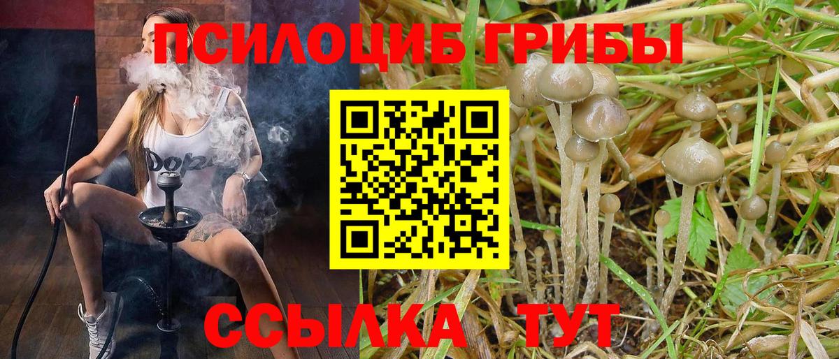 Галлюциногенные грибы Cubensis  Вход с VPN  Белорецк 